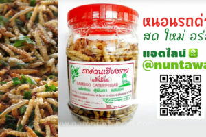 หนอนรถด่วนอบ