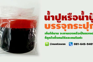 น้ำปูหรือน้ำปู๋