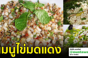 เมนูไข่มดแดง