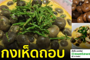 แกงเห็ดถอบกระป๋อง