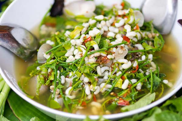 ant eggs menu 3