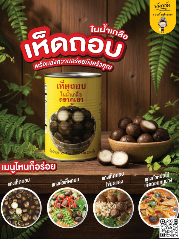 puff ball mushrooms 1